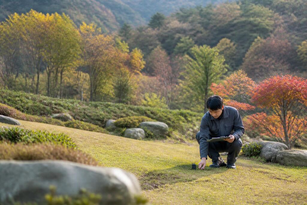 서울 장지 비용과 업체 비교 정보 이미지