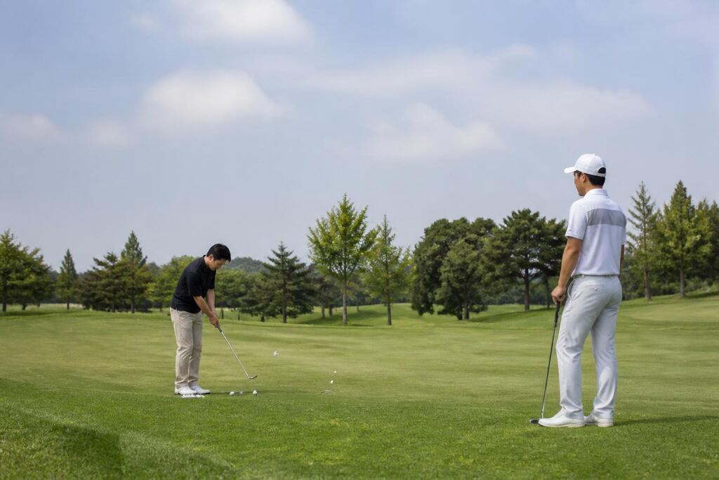 충남 골프 레슨 비용과 업체 비교 정보 이미지