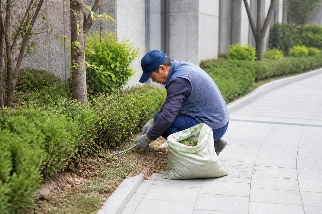 전북특별자치도 건물 외부 녹지관리 작업 범위와 현장 조건 이미지