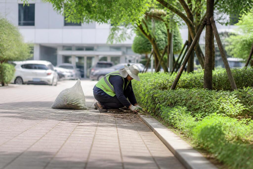 울산 사업장 조경 정기관리 비용과 업체 비교 정보 이미지