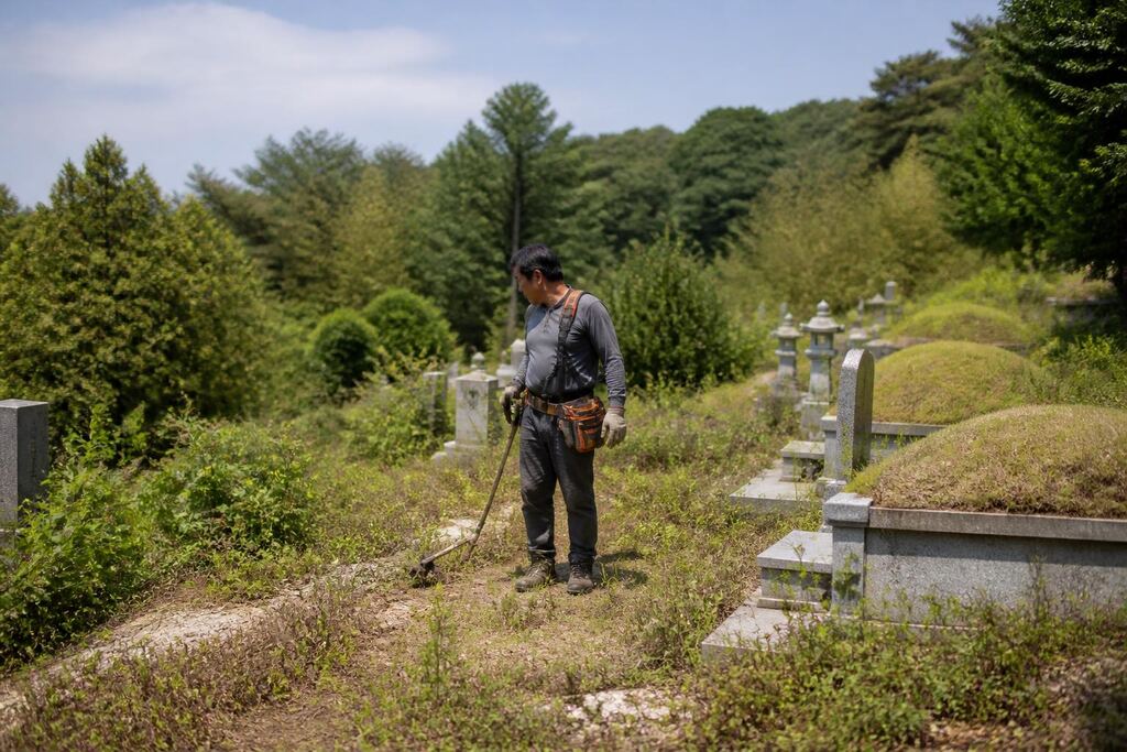 서울 묘지 주변 정리 이미지