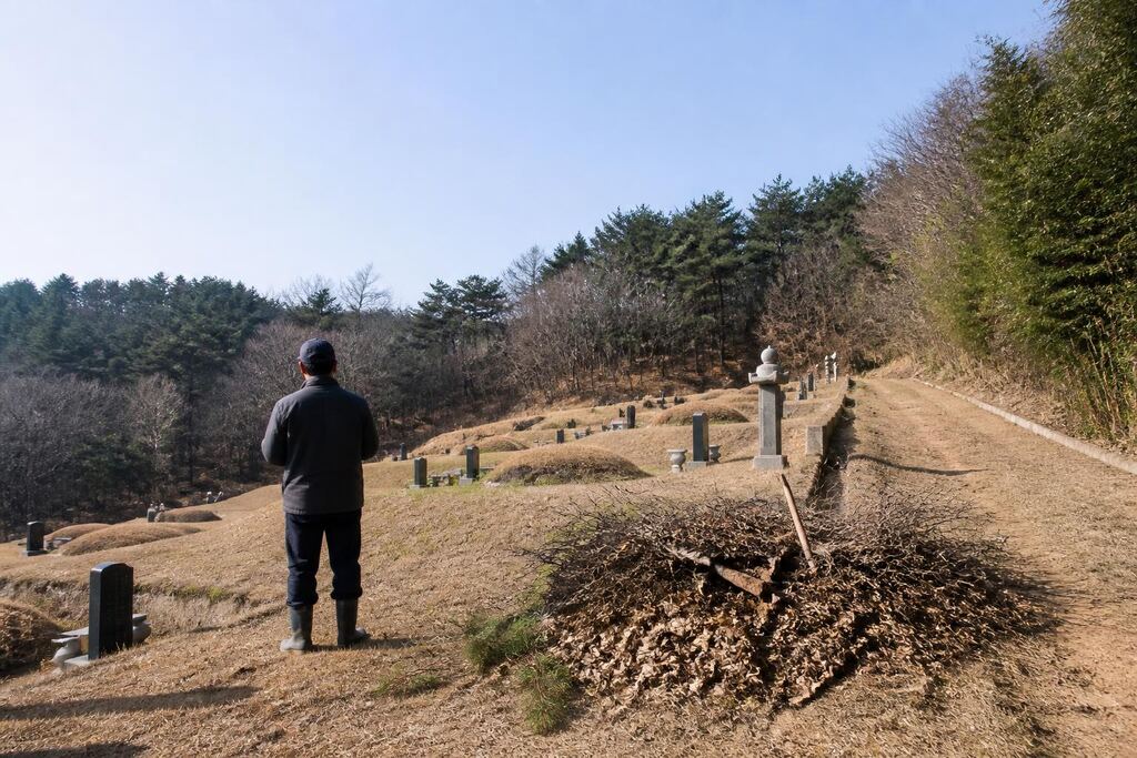 서울 묘지 주변 정리 비용과 업체 비교 정보 이미지