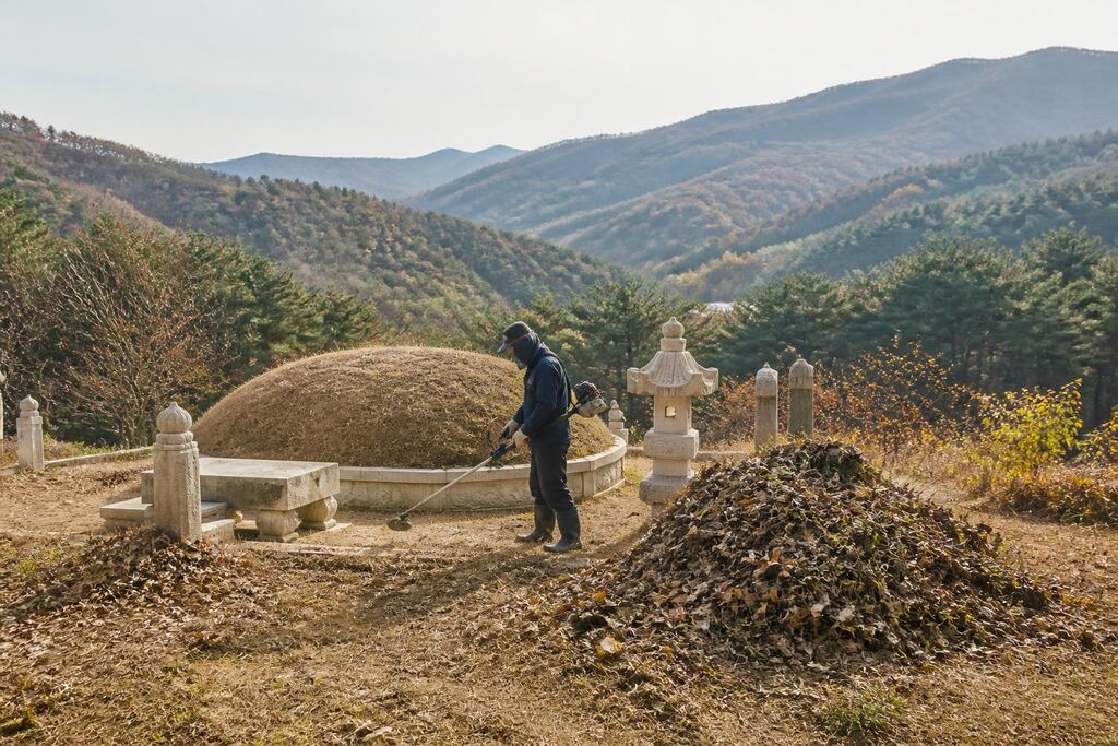 강원특별자치도 묘지 주변 정리 이미지