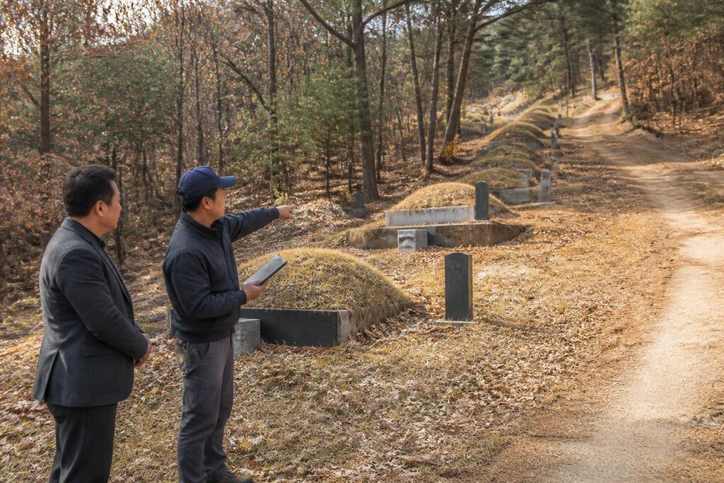 강원특별자치도 묘지 주변 정리 작업 범위와 현장 조건 이미지