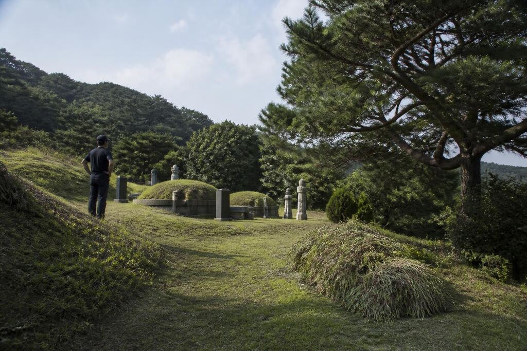 충북 묘지 주변 정리 비용과 업체 비교 정보 이미지