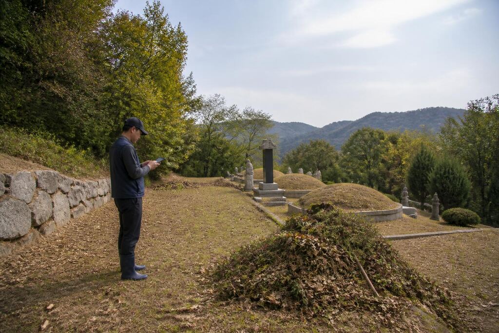전북특별자치도 묘지 주변 정리 비용과 업체 비교 정보 이미지