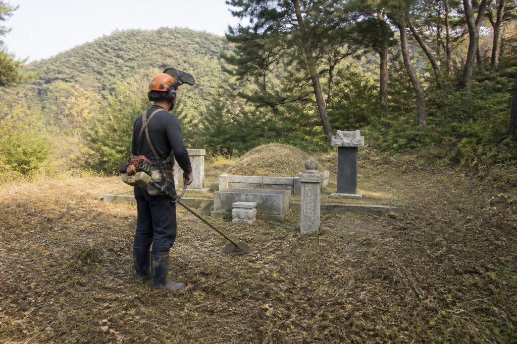 경북 묘지 주변 정리 이미지