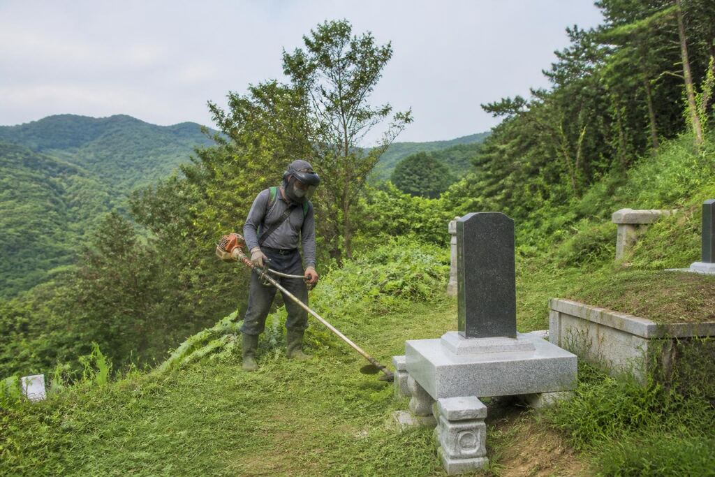 경남 묘지 주변 정리 이미지