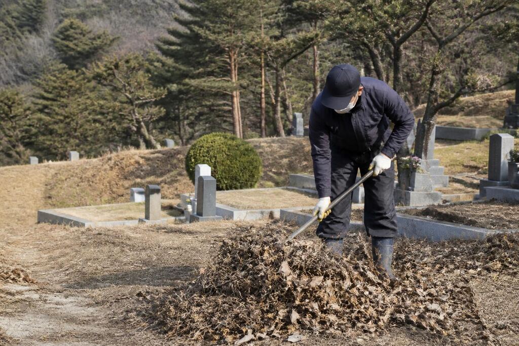 제주특별자치도 묘지 주변 정리 비용과 업체 비교 정보 이미지