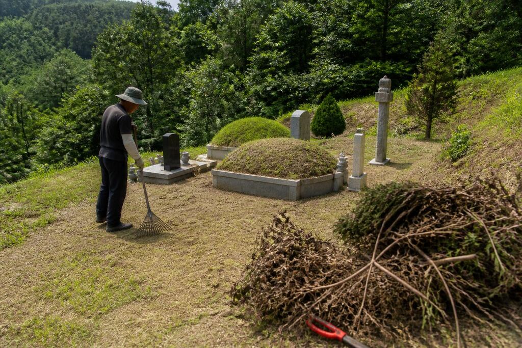 전남광주통합특별시 묘지 주변 정리 비용과 업체 비교 정보 이미지