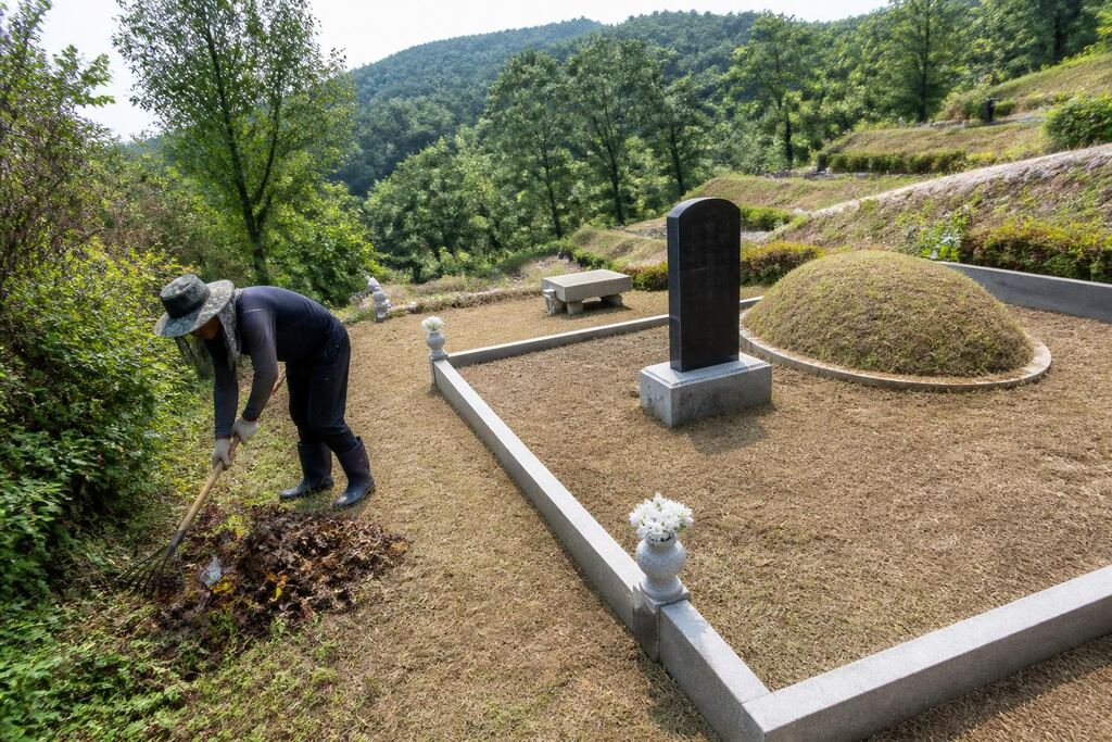 부산 묘지 주변 정리 비용과 업체 비교 정보 이미지