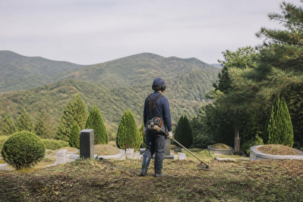 대구 묘지 주변 정리 이미지