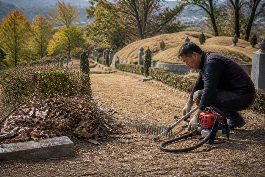 대구 묘지 주변 정리 비용과 업체 비교 정보 이미지