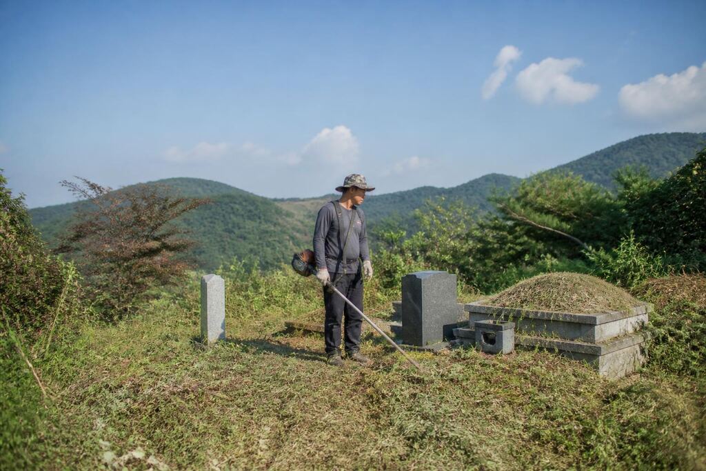 대전 묘지 주변 정리 이미지