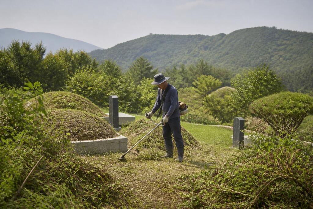 세종특별자치시 묘지 주변 정리 이미지