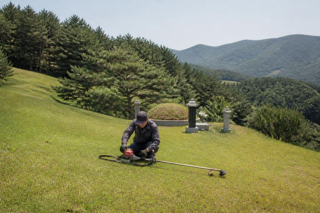 경기 묘지 주변 정리 이미지