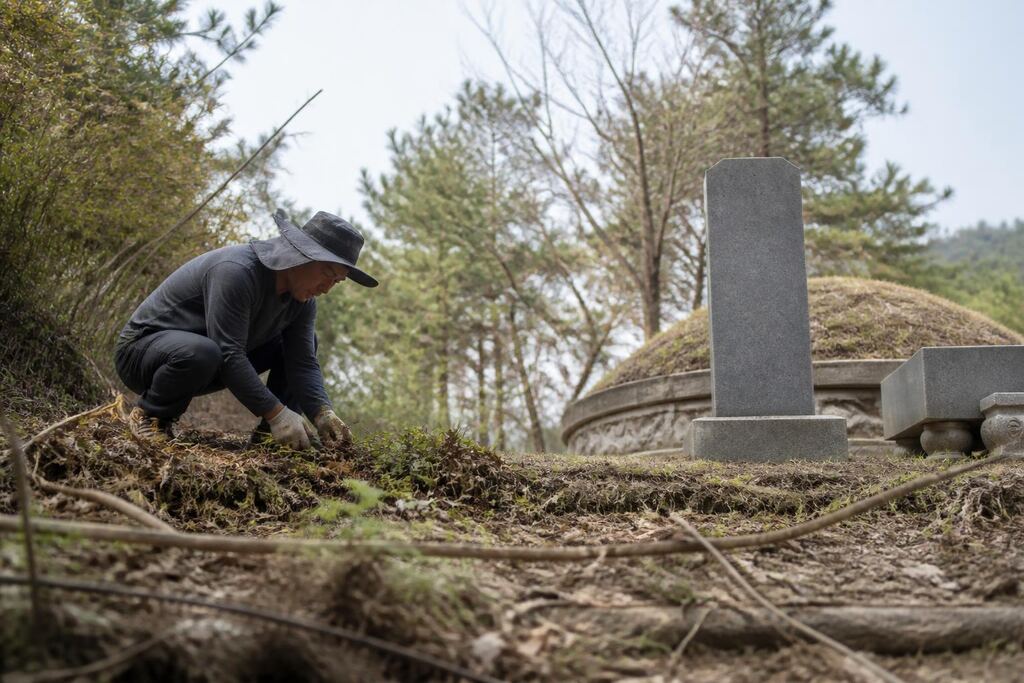 경기 묘지 주변 정리 작업 범위와 현장 조건 이미지