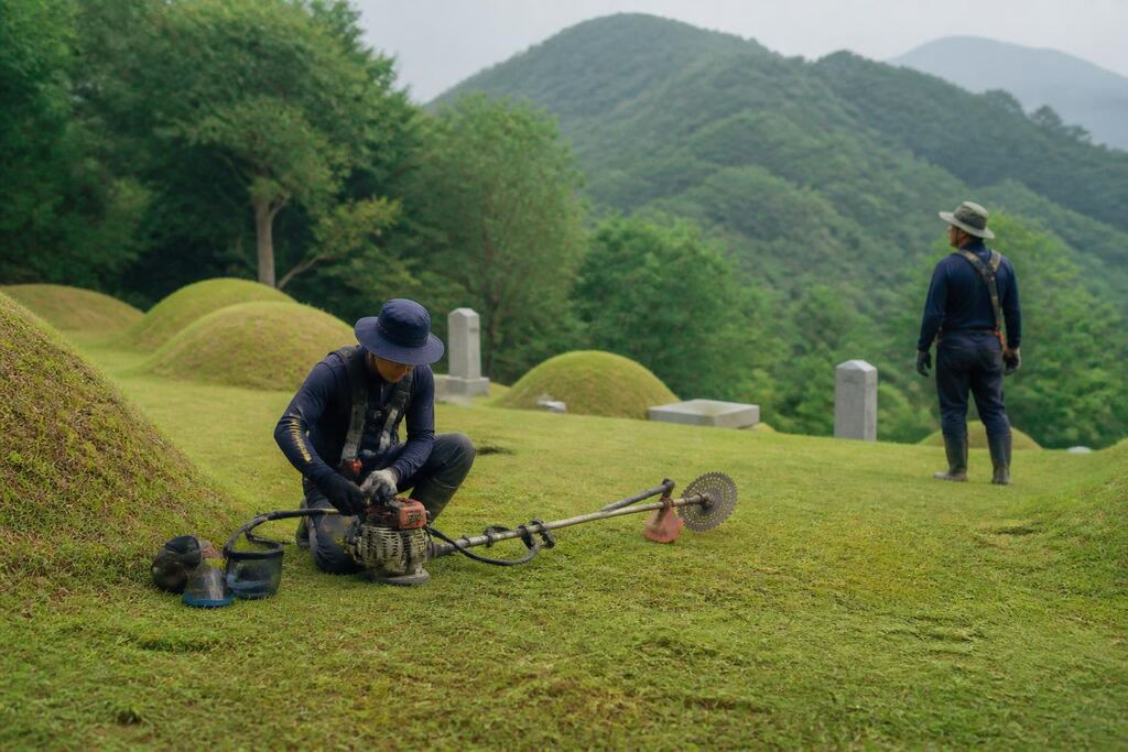 서울 벌초 이미지