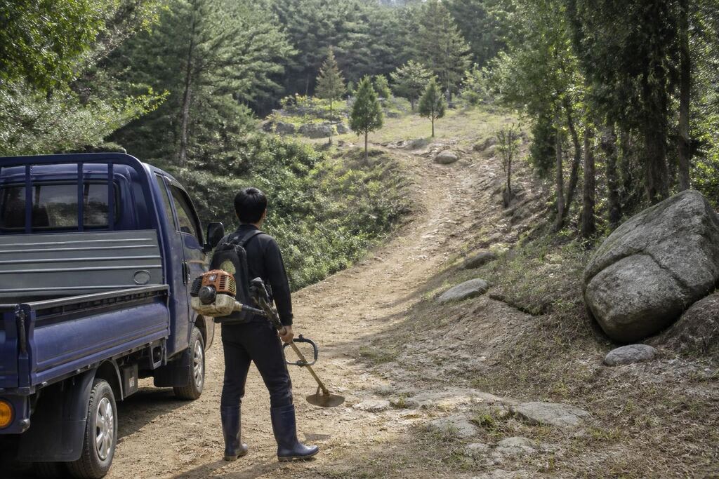 충남 벌초 작업 범위와 현장 조건 이미지