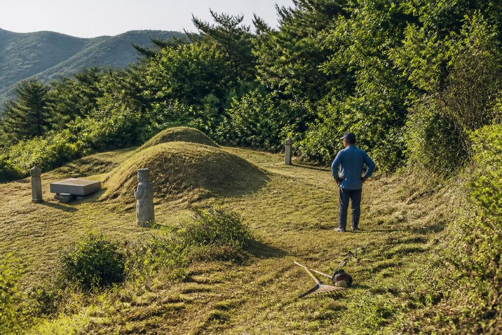 전남광주통합특별시 벌초 비용과 업체 비교 정보 이미지