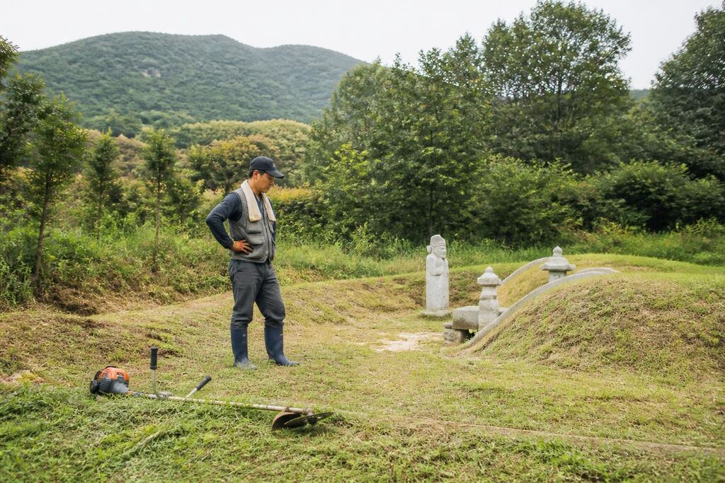 부산 벌초 이미지