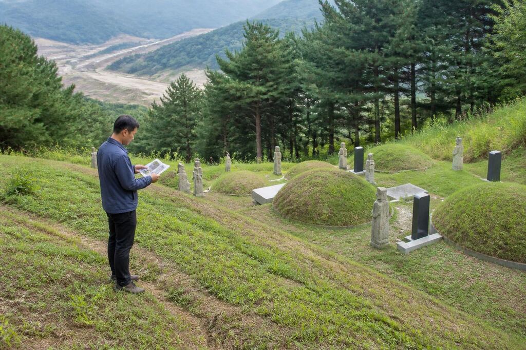 대전 벌초 작업 범위와 현장 조건 이미지
