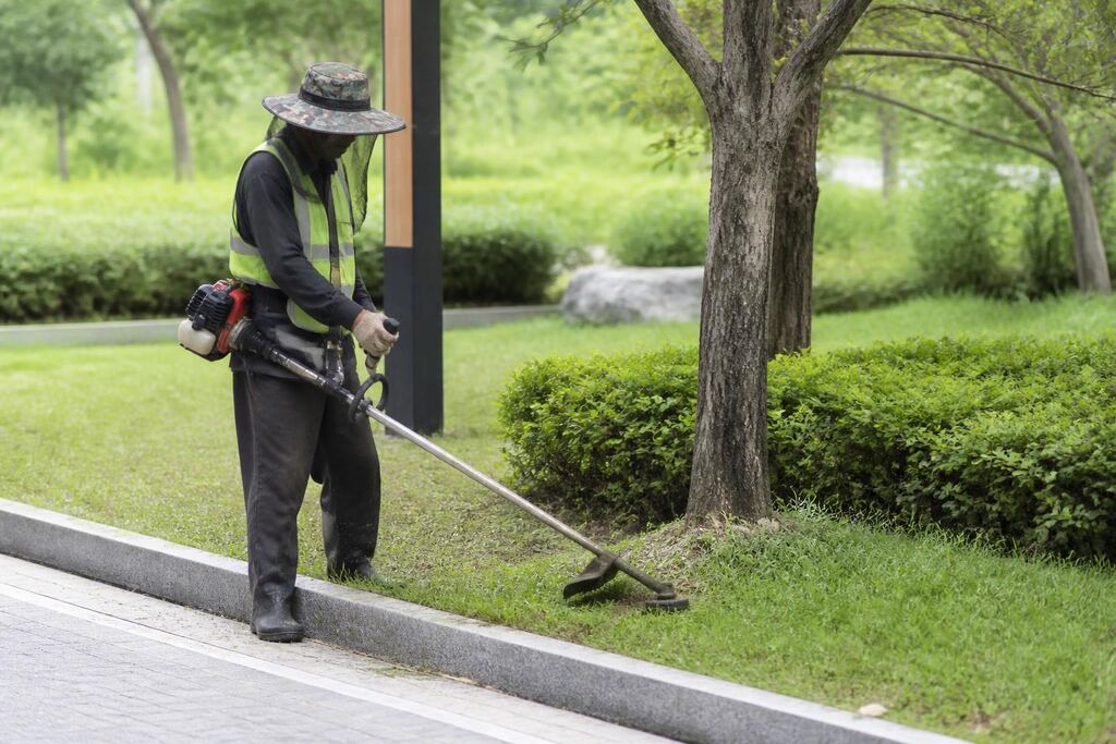 대전 잔디 관리 작업 범위와 현장 조건 이미지