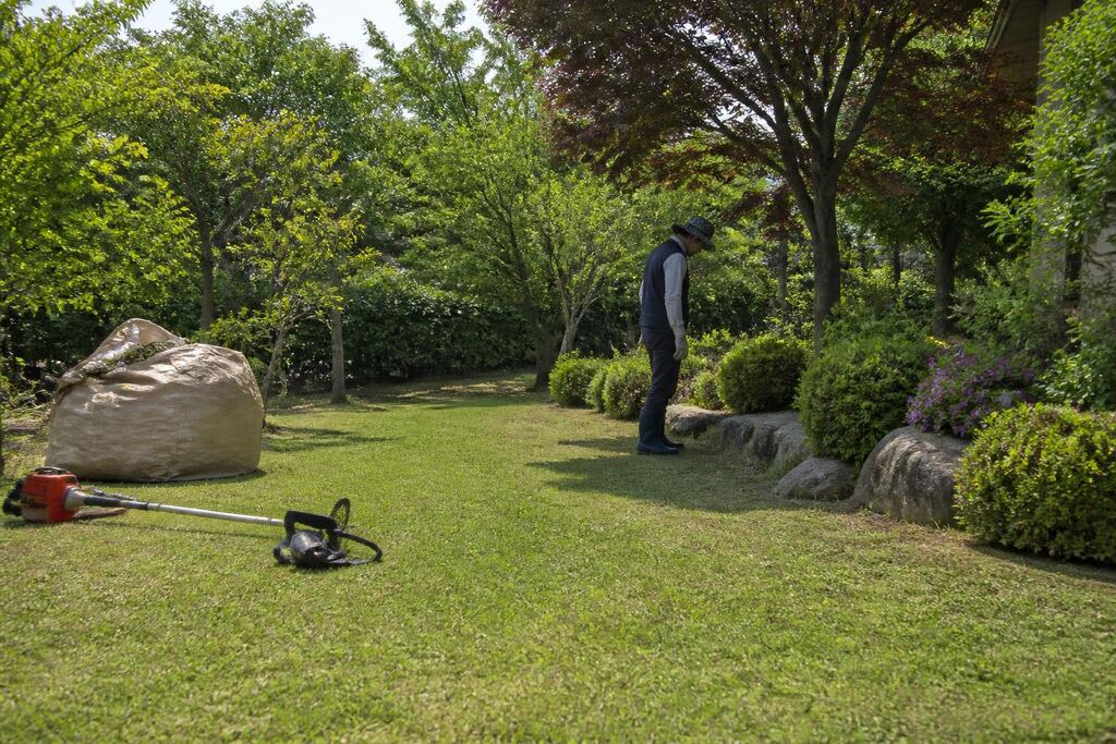 서울 종로구 잔디 깎기 비용과 업체 비교 정보 이미지