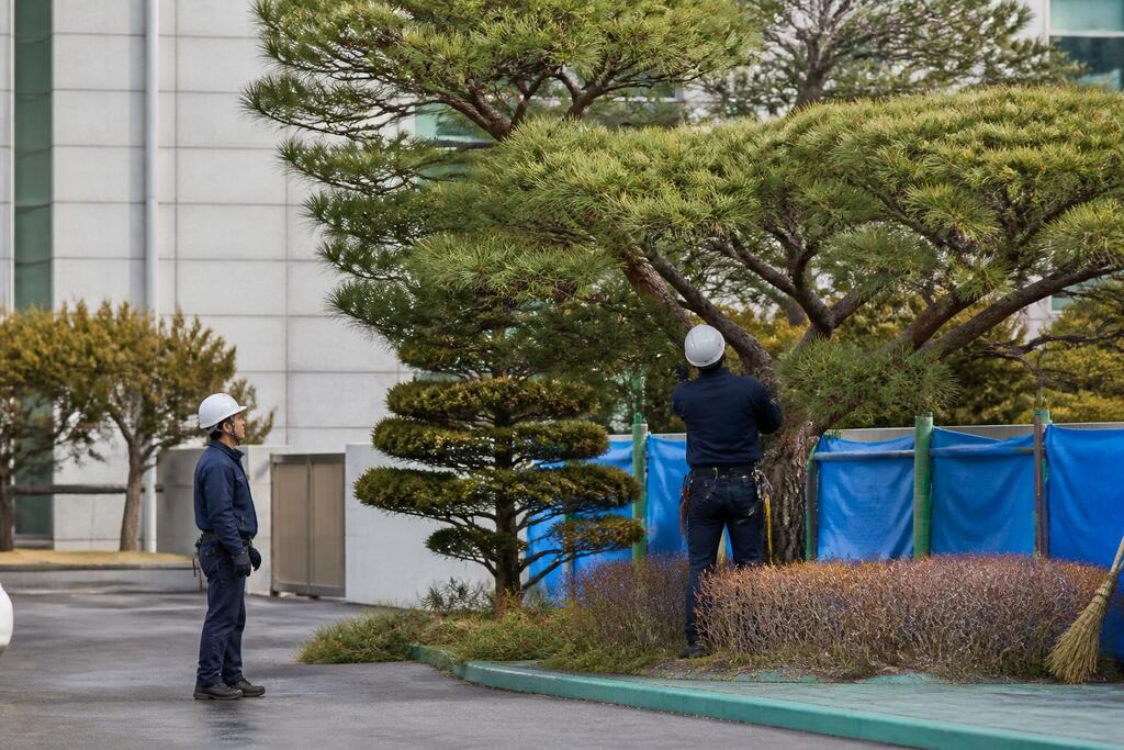 인천 수목 정리 작업 범위와 현장 조건 이미지