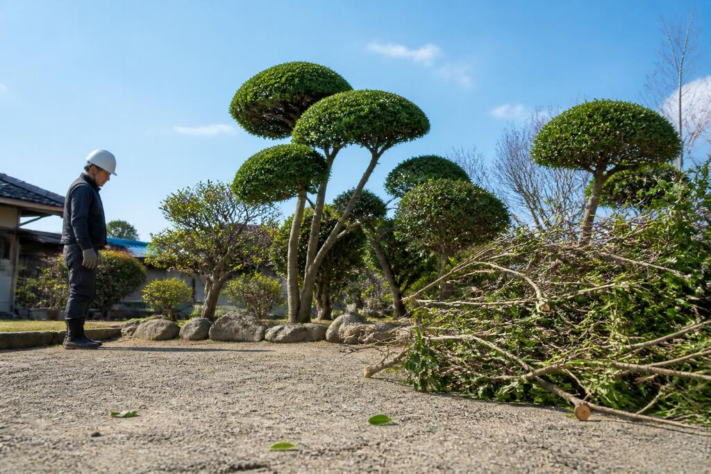 인천 수목 정리 비용과 업체 비교 정보 이미지