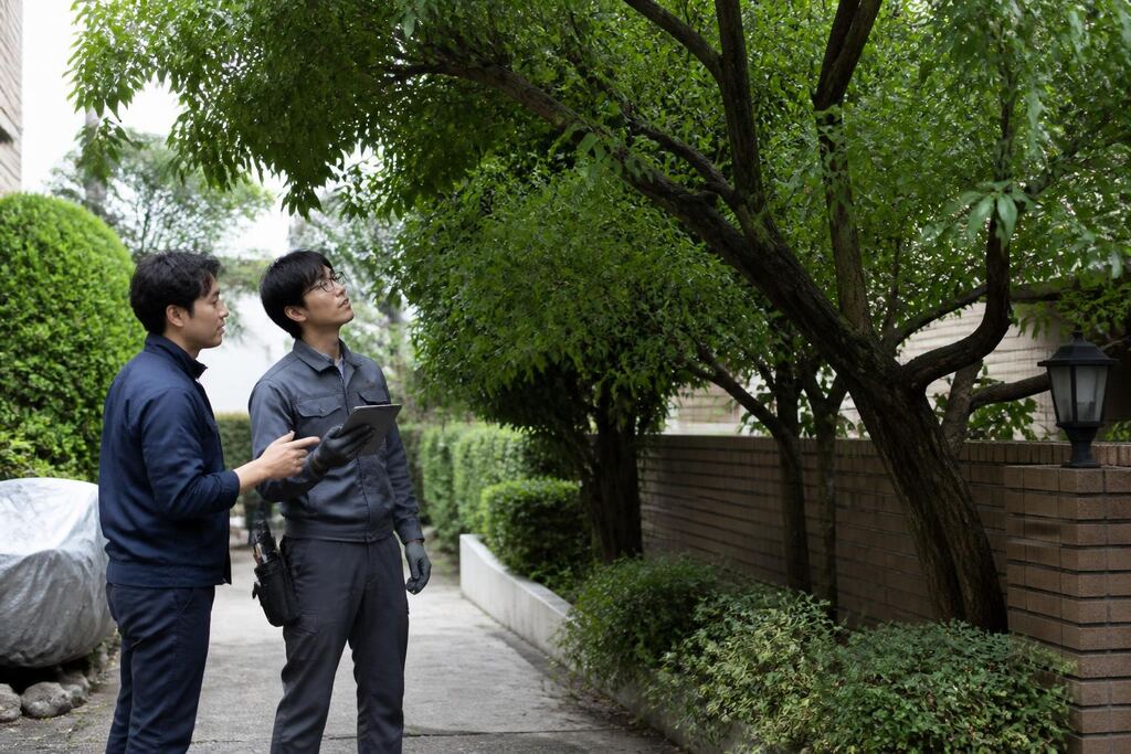 울산 수목 정리 작업 범위와 현장 조건 이미지