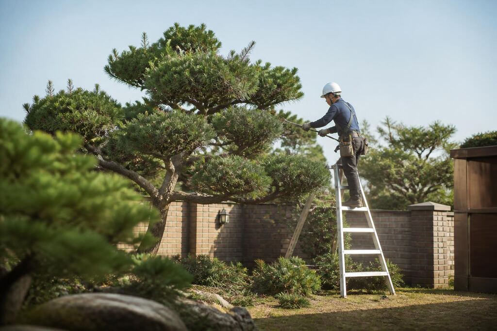 충북 나무 전지·전정 작업 범위와 현장 조건 이미지