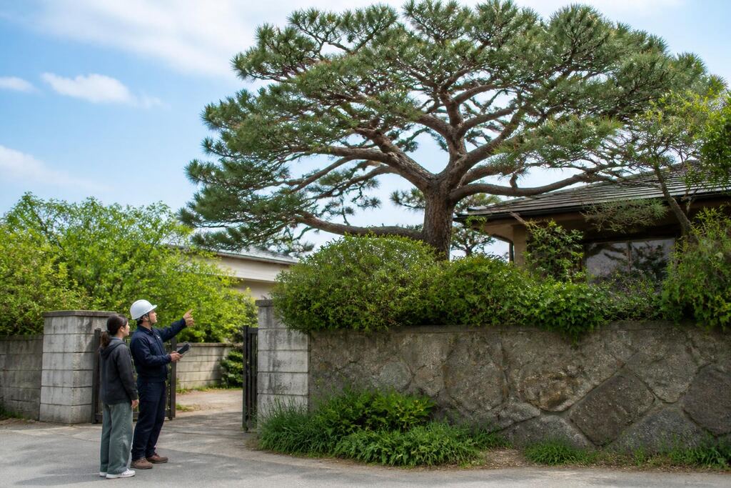 충남 나무 전지·전정 작업 범위와 현장 조건 이미지