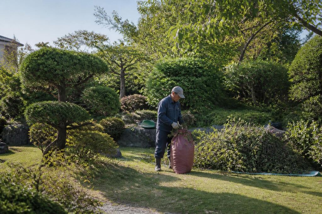 경북 나무 전지·전정 비용과 업체 비교 정보 이미지