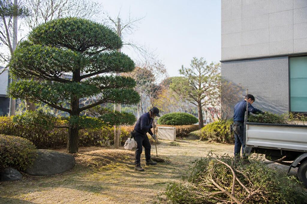 경기 나무 전지·전정 비용과 업체 비교 정보 이미지