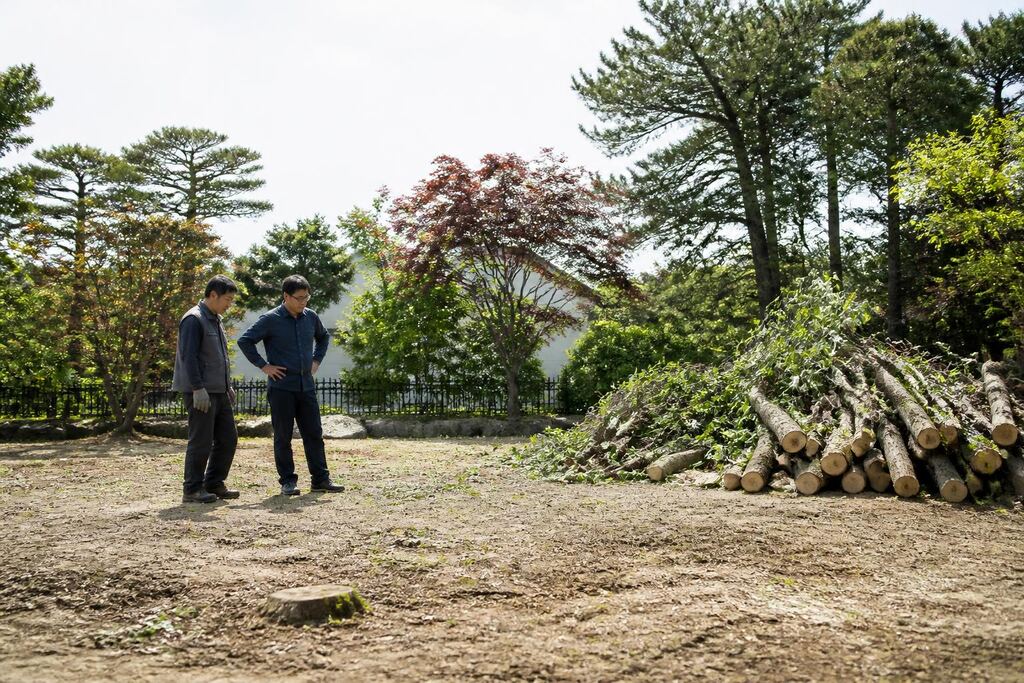 충북 나무 제거·벌목 비용과 업체 비교 정보 이미지