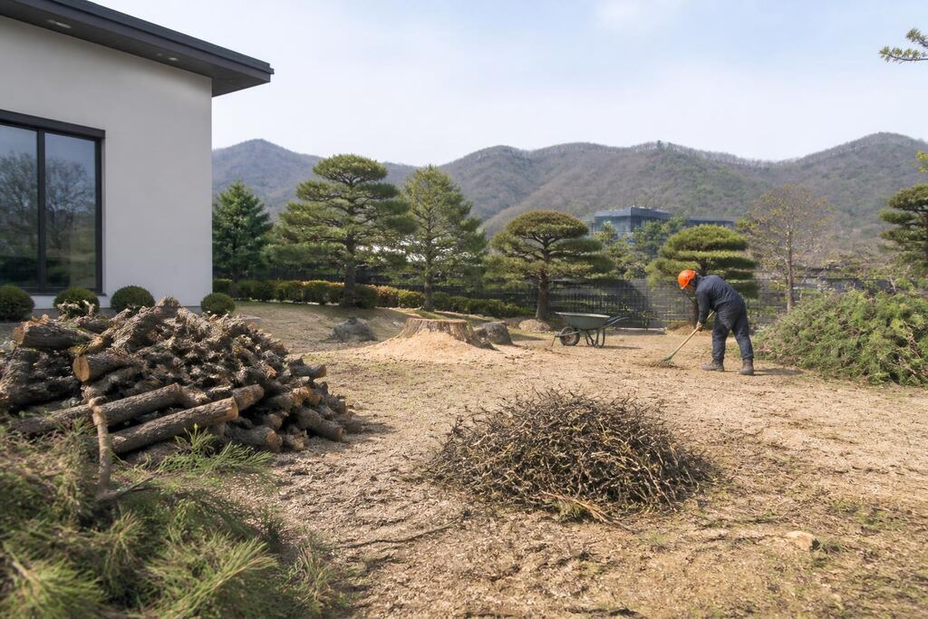 경북 나무 제거·벌목 비용과 업체 비교 정보 이미지