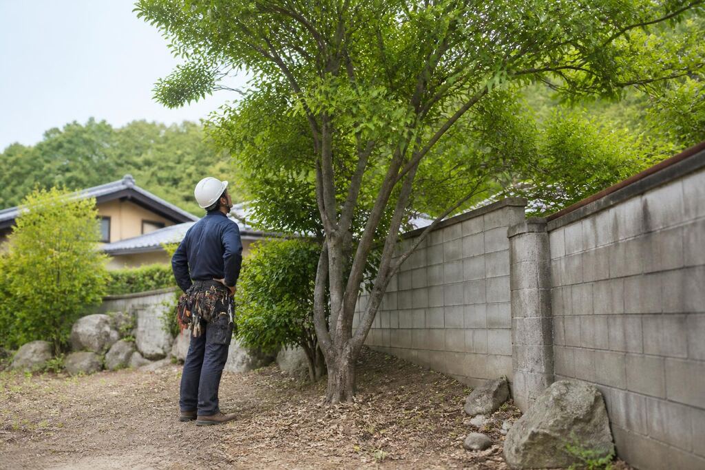 경남 나무 제거·벌목 이미지
