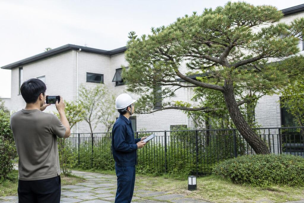 대전 나무 제거·벌목 작업 범위와 현장 조건 이미지