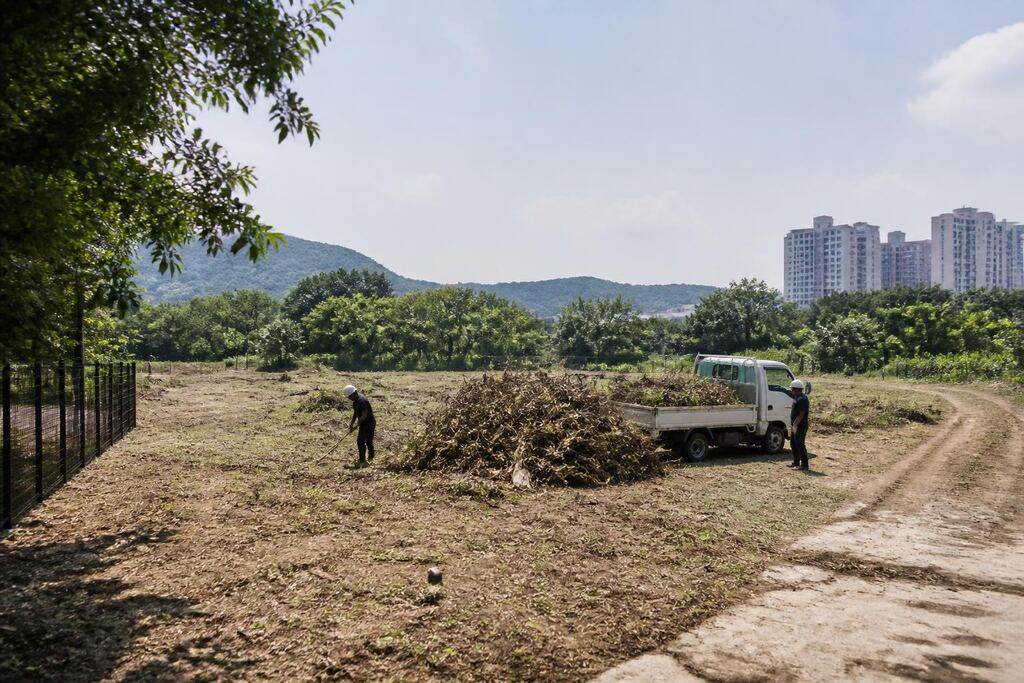 강원특별자치도 공터 정리 비용과 업체 비교 정보 이미지