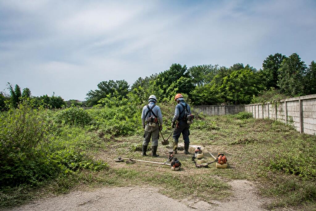 서울 종로구 공터 정리 이미지
