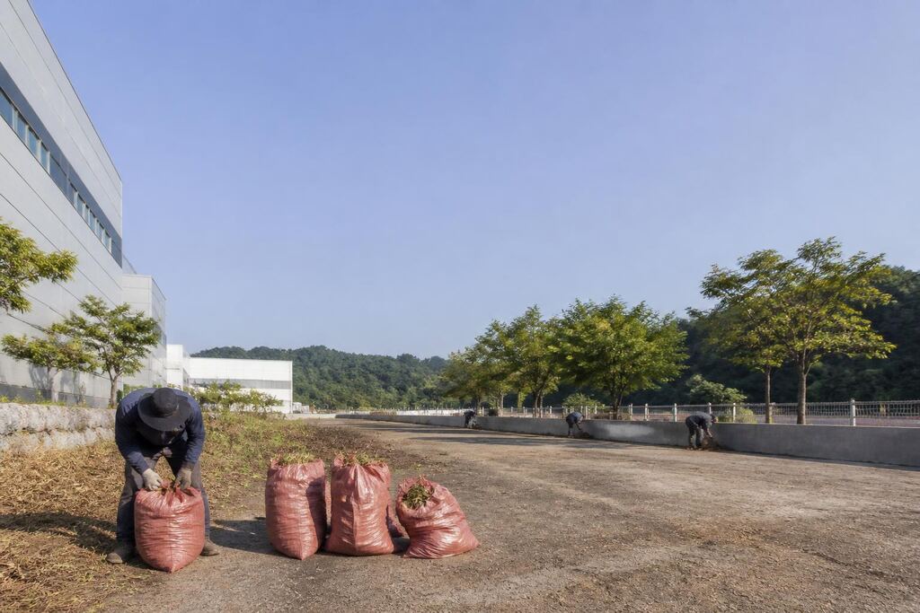 경기 잡초 제거 비용과 업체 비교 정보 이미지