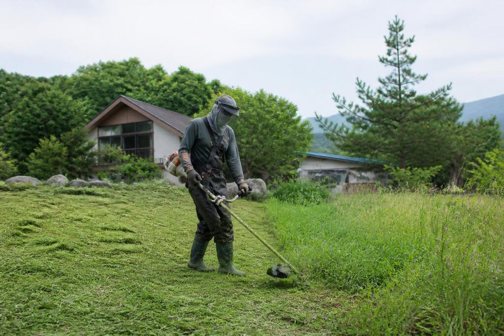 충북 제초 작업 이미지