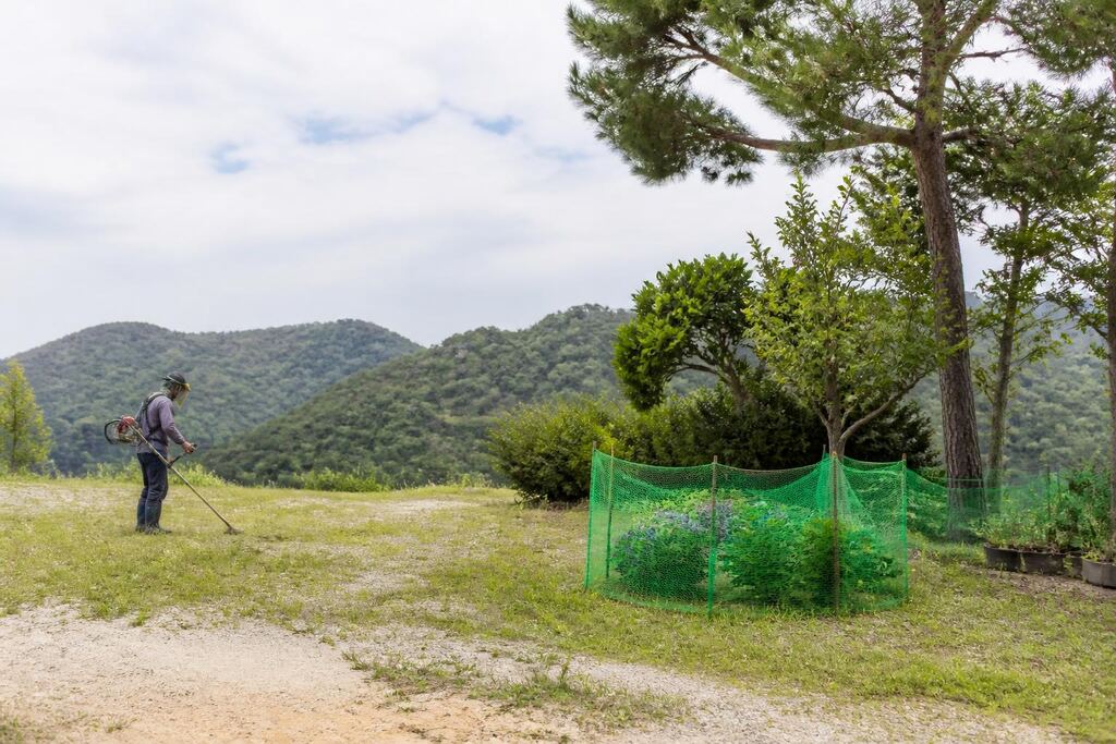 경북 제초 작업 작업 범위와 현장 조건 이미지