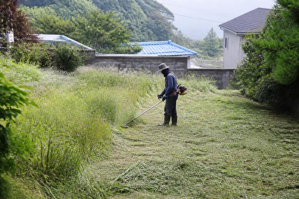 경남 제초 작업 이미지