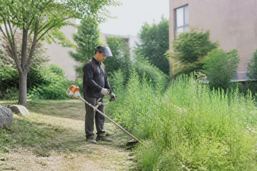 서울 종로구 제초 작업 이미지