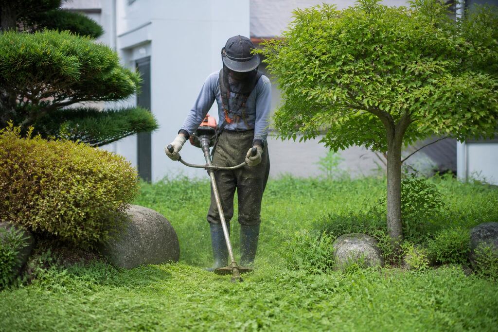 울산 제초 작업 이미지