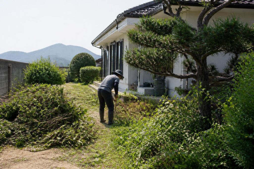 경남 마당 정리 작업 범위와 현장 조건 이미지
