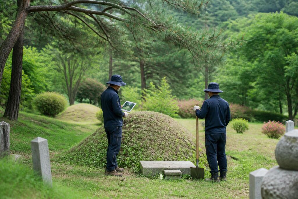 충남 개장·파묘 이미지