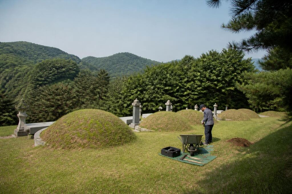 충남 개장·파묘 비용과 업체 비교 정보 이미지
